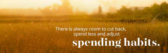 Spending Habits