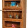Barrister Bookcase