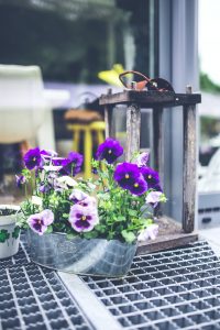Flowers and Lantern - Outdoor Decorations