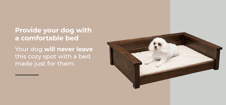 Provide your dog with a comfortable bed