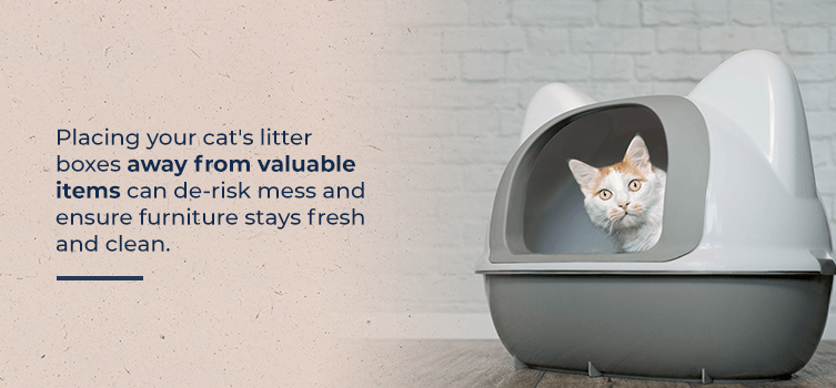 Place litter boxes away from valuable items and furniture
