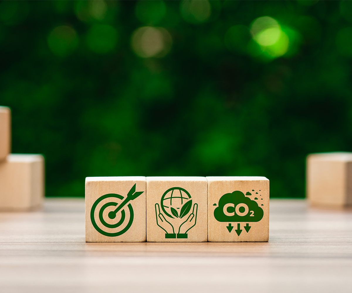 Eco-Friendly Custom Furniture