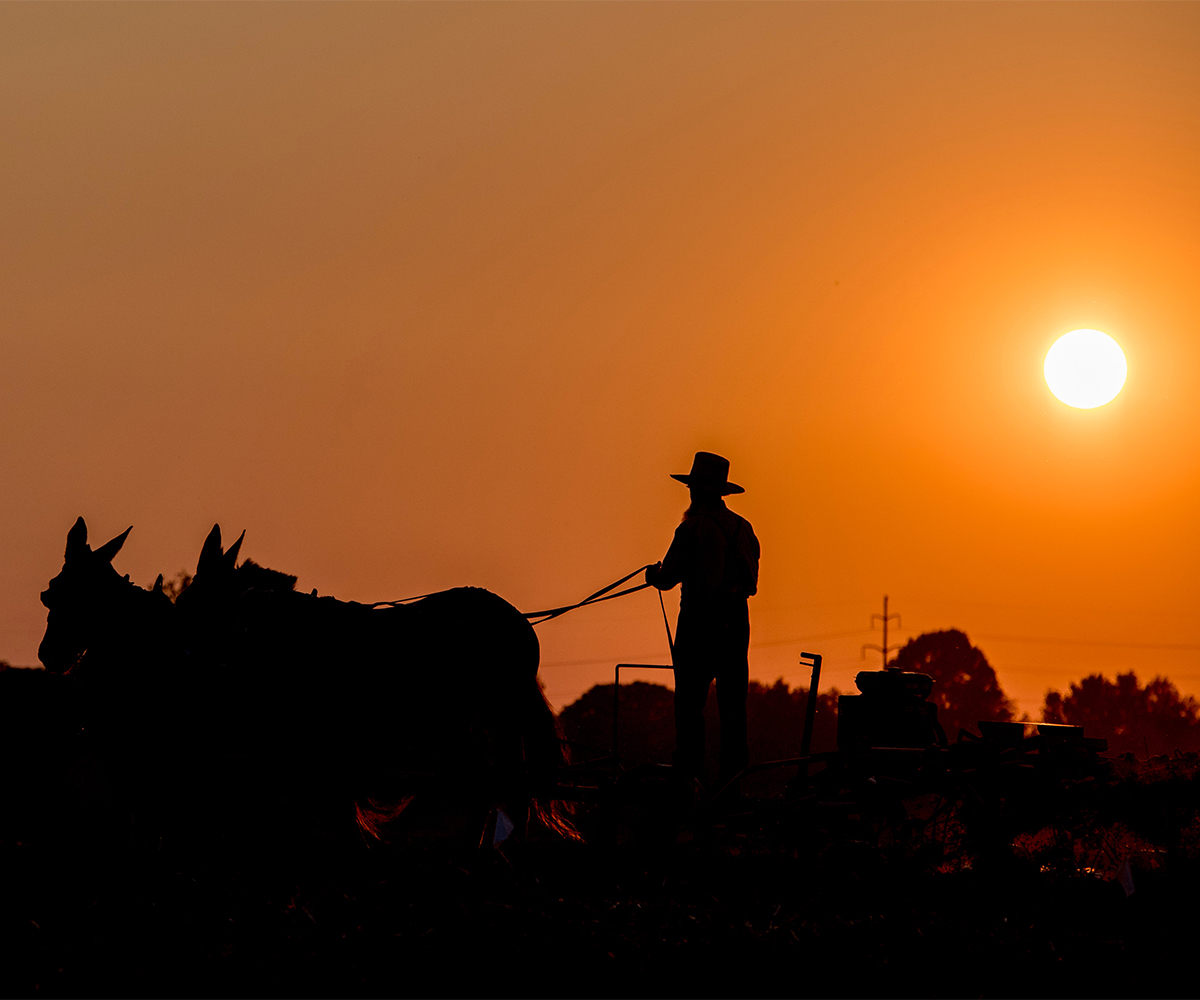 Silhouette of an Amish farmer driving a horse-drawn plow at sunset, symbolizing the traditional lifestyle behind Amish furniture craftsmanship.