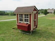 Amish Urban Chicken Coop Kit
